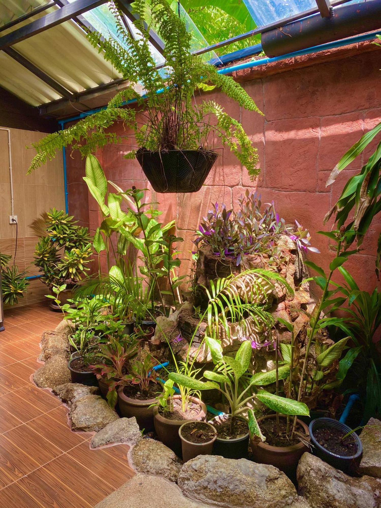 シャンティ ロッジ シャロン 部屋 写真